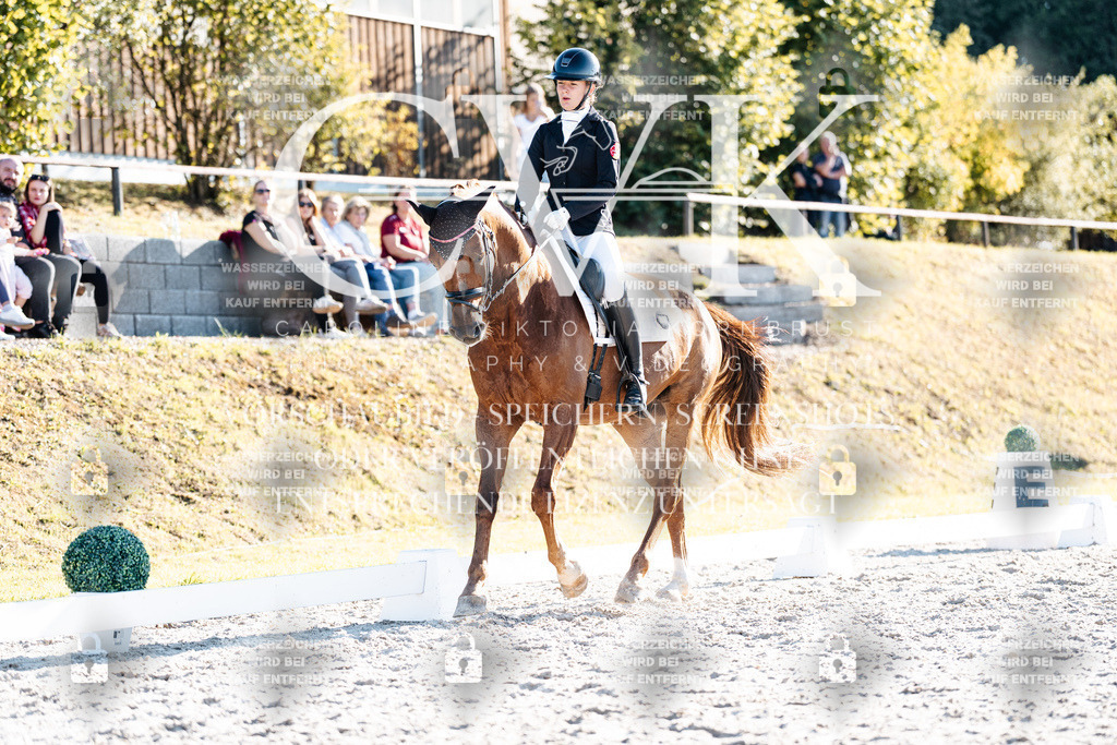 CK906716 | Turnierfotografie Pferdefotografie Trier Rheinland-Pfalz Pferdesport Reitsport Tierfotografie Sportfotografie Pferdevideo Pferdevideografie Equestrianvideography equestrianphotography  - Realisiert mit Pictrs.com