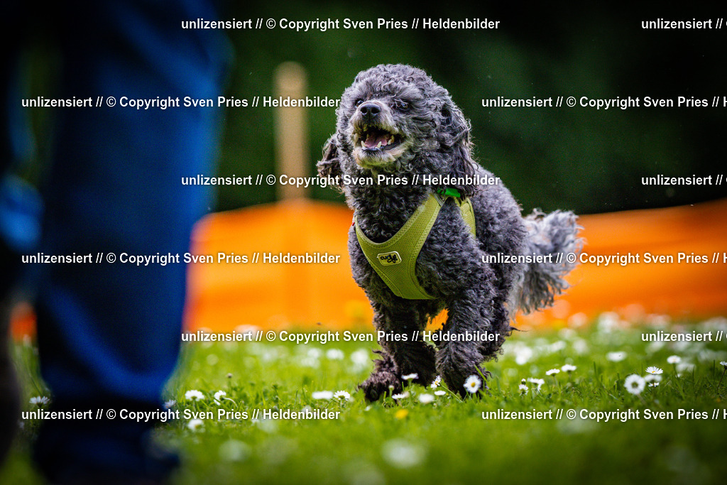 Sven Pries | 2025-05-29 - Pudelrennen KA-Durlach - Realisiert mit Pictrs.com