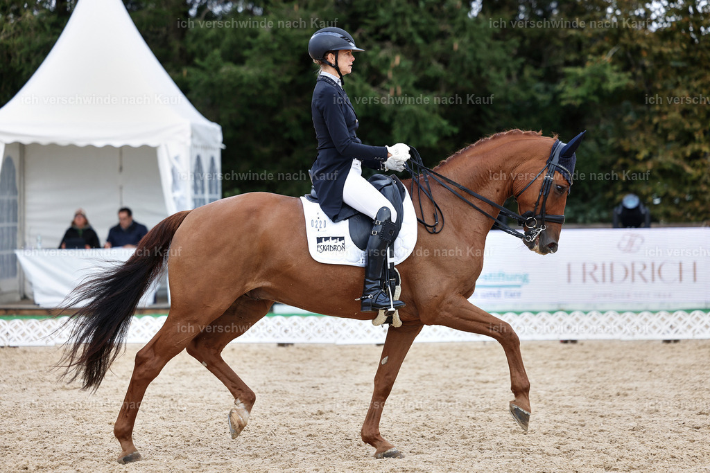 12-220-DRESSUR  S___  -StoibPH-5307 | working equitationturnier fotograf videograf stoibphotography marixx film working equitation deutschland reitsport turnierfotografie eventfotografie equestrian events