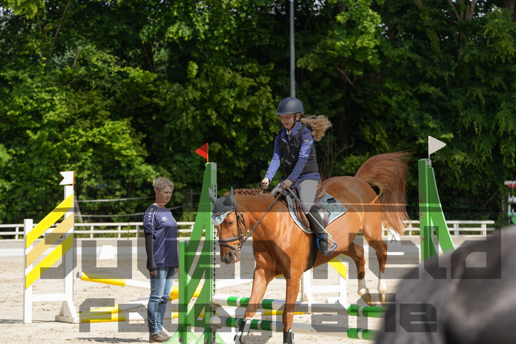 DSC03245 | Julian Held Fotografie - Realisiert mit Pictrs.com