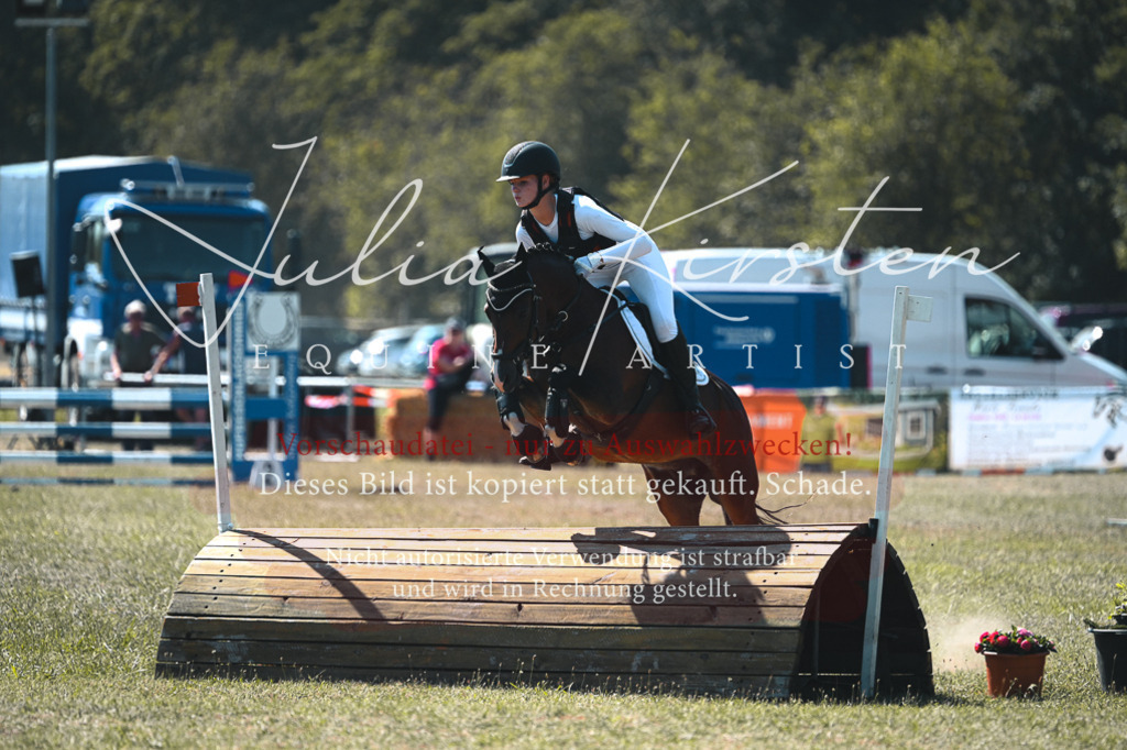 DSC_8275 | Pferde- und Turnierfotografie in Westsachsen. Pferdeportraits, Auftragszeichnungen und intuitive Kunst.
