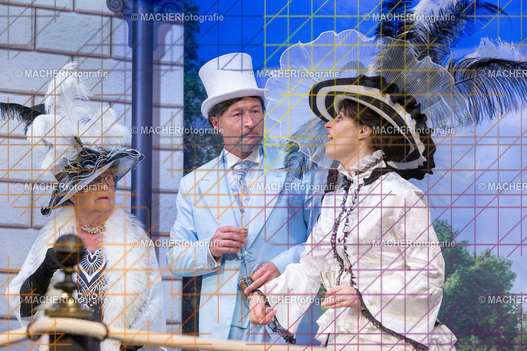 278_MFL-2025 | Portraitbilder von Regisseur; Darsteller; Techniker; Maske; Kostüme; Chor; Musiker; Bilderserie der Generalprobe und der Premierenvorstellung, Szenenbilder; Ausdrucksstudien; Bühnenüberblick; Bühnenkulissen; Pressefotos inkl. Redaktionsfoto Darstellergruppe.