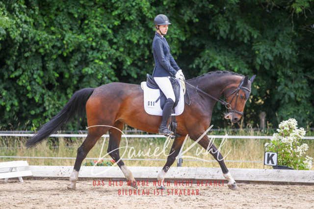 DKP45950 | Turniersportfotografie; Pferdefotografie; Dressurfotografie