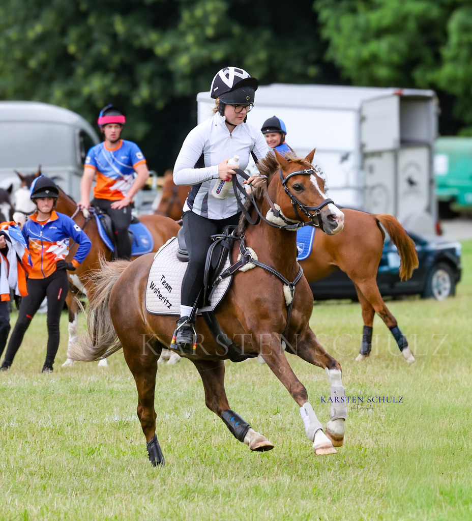 1B3A1362 | Reitsport Reiten