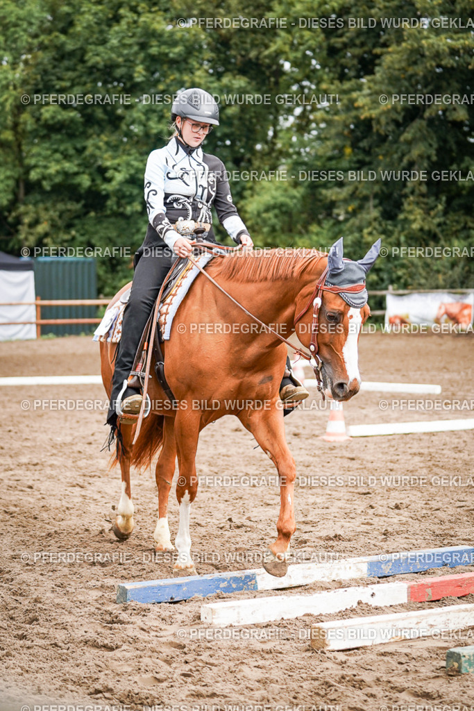 DSC04207 | Pferdegrafie