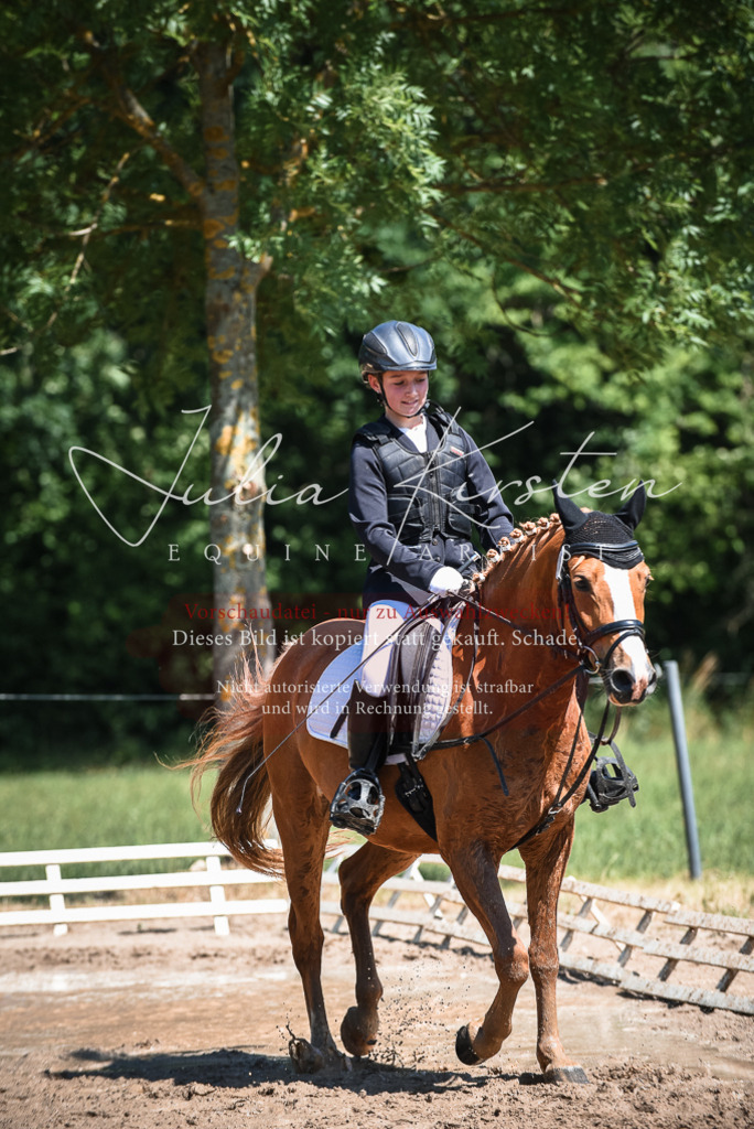 DSC_3262 | Pferde- und Turnierfotografie in Westsachsen. Pferdeportraits, Auftragszeichnungen und intuitive Kunst.