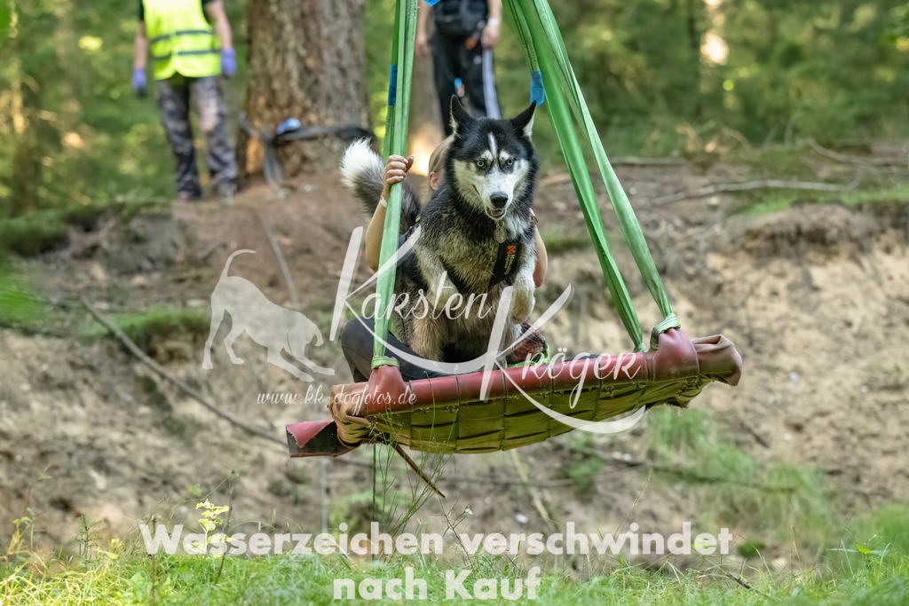 1449_ZZ90917-Bearbeitet-2 | kk-dogfotos