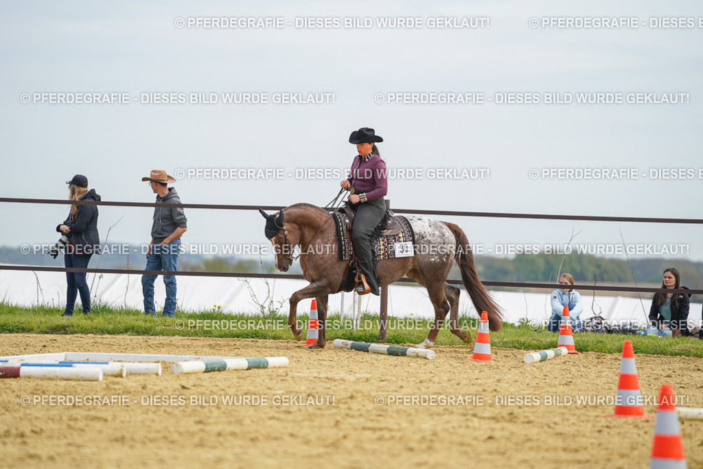 DSC03509 | Pferdegrafie