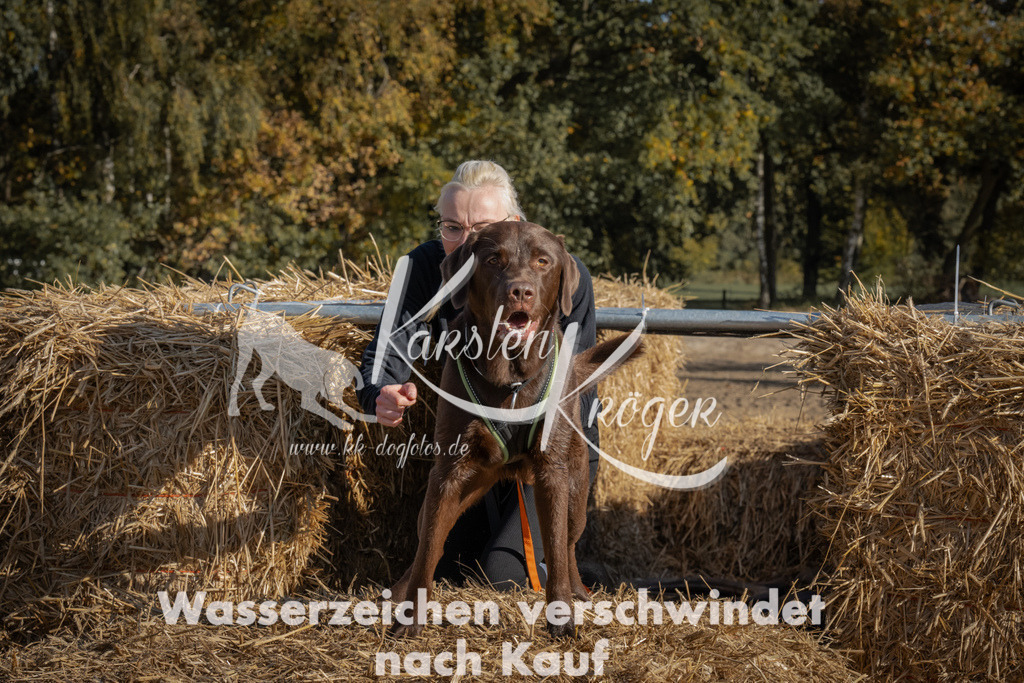 1112_ZZ90535 | kk-dogfotos