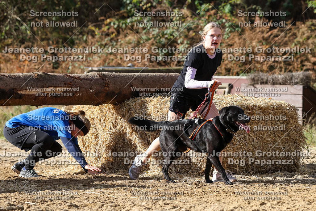 Dog Paparazzi - Strongdog 10-25-4927 | Dog Paparazzi Jeanette Grottendiek Fotografie & Videografie - Realisiert mit Pictrs.com