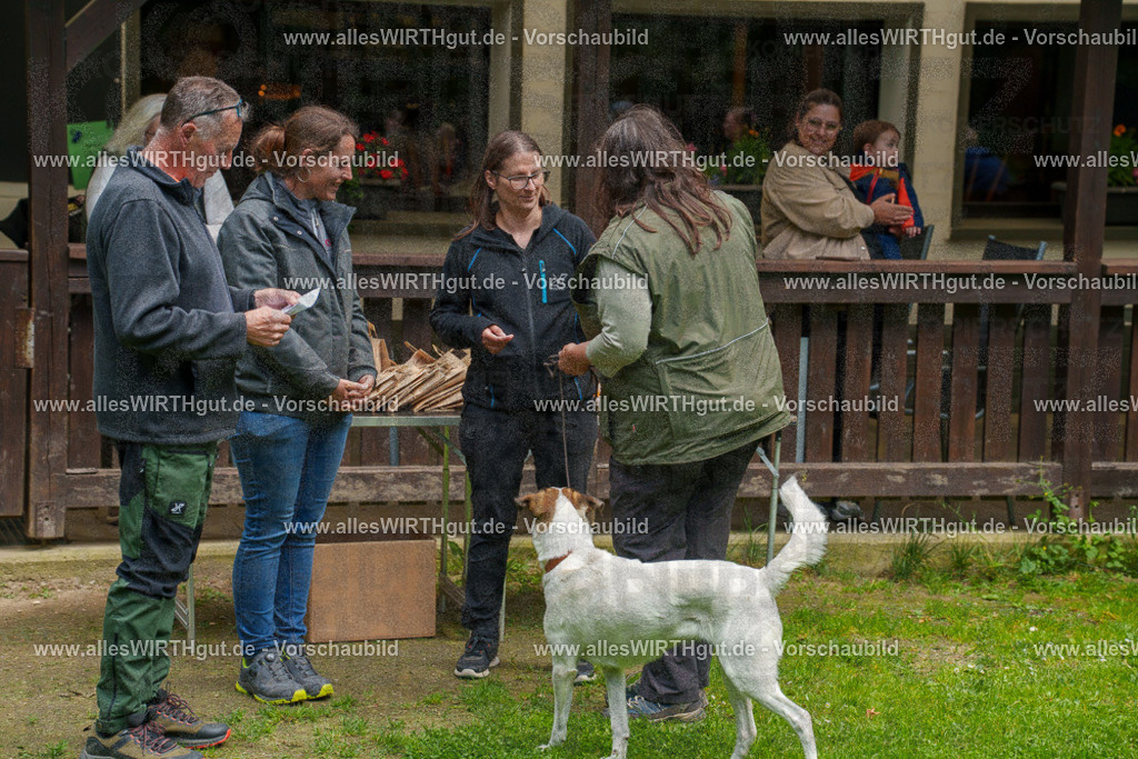 @allesWIRTHgut_Tierfotografie - www.allesWIRTHgut.de - 7R506038 | Professionelle Tierfotografie in Mönchengladbach von Daniel Wirth (allesWIRTHgut). Liebevolle & natürliche Bilder von Hunden & Katzen für unvergessliche Erinnerungen.
