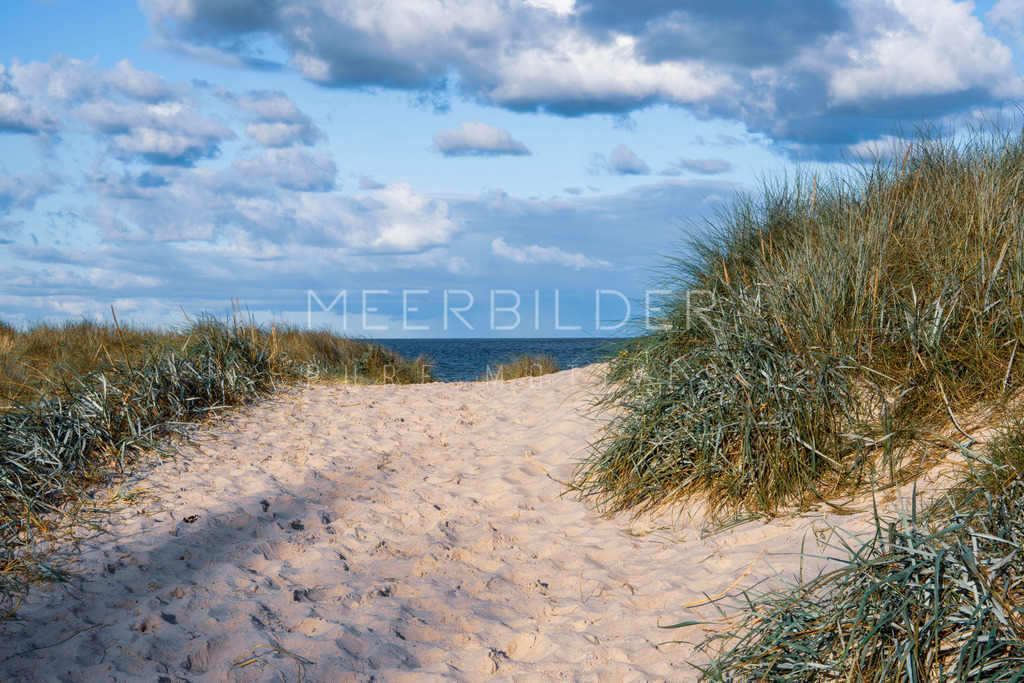 Ostsee Dünen Darß | Ein idyllisches Ostseebild mit Dünenweg. Beim Betreten der Düne erscheint die Ostsee im Hintergrund immer deutlicher. Das Licht ist intensiv und verleiht dem Motiv eine besondere Atmosphäre, die an den Frühherbst erinnert. Dieses Ostseebild kommt besonders gut auf FineArt Hahnemühle Papier mit einem passenden Wechselrahmen zur Geltung.