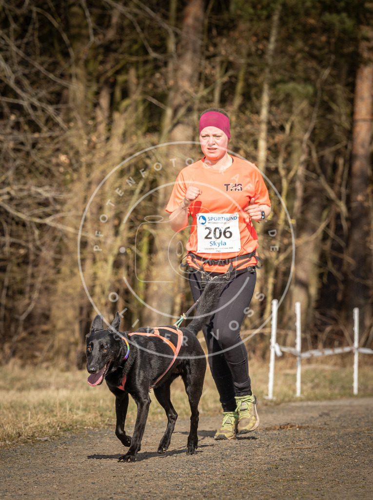 DV3A5821 | Hundefotografie, Tierfotograf, Pfotenfotografie, Fotoshooting Hund, Hunde Portrait, Hundesport, Hundeportraits, Heideshooting, Hunde, Sportfotograf, Hundefotograf, Turnierhundsport, THS,  - Realisiert mit Pictrs.com