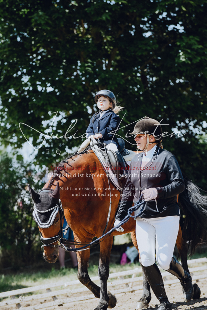 DSC_2517 | Pferde- und Turnierfotografie in Westsachsen. Pferdeportraits, Auftragszeichnungen und intuitive Kunst.