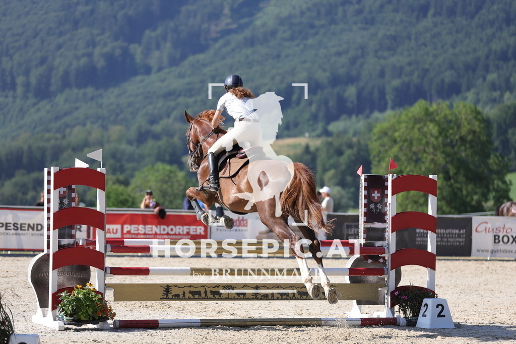 0P6A5062 | Willkommen bei Brunnmayr - Design & Fotografie – Ihrem Spezialisten für Reitturniere und Pferdeveranstaltungen in Oberösterreich, Salzburg und Bayern! Seit über 17 Jahren sind wir leidenschaftlich dabei.