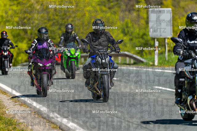 MSFotoServiceXXX40 | MSFotoService - Realisiert mit Pictrs.com