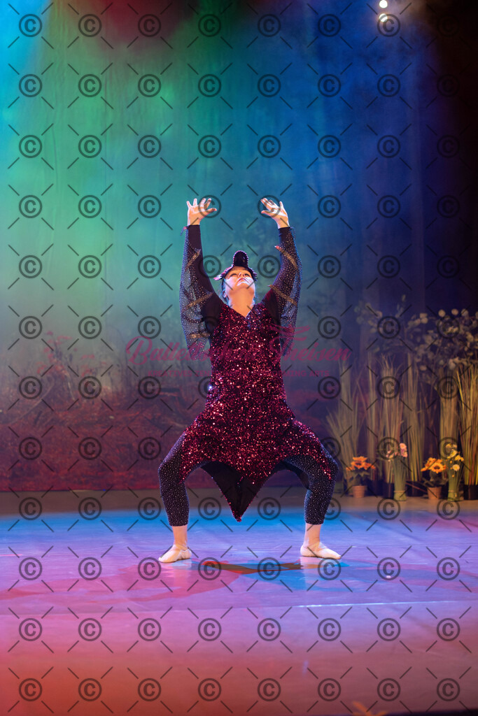 Ballettaufführung-716 | Bildershop Lem'n Entertainment - Realisiert mit Pictrs.com