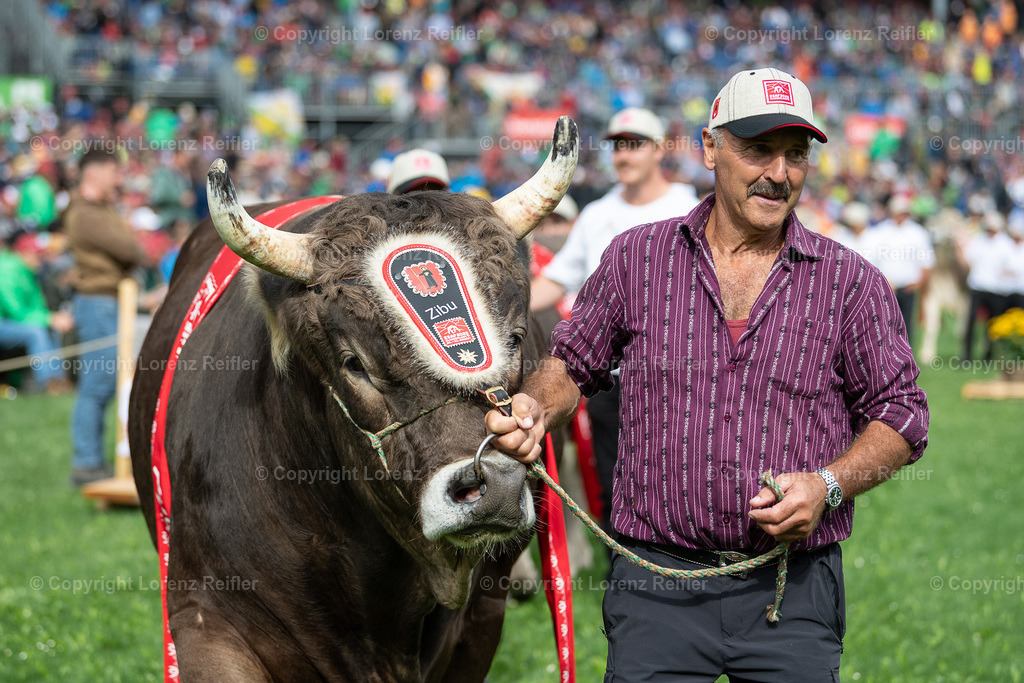 Schwingen -  ESAF 2025 Samstag | Mollis, 30.8.25, Schwingen - ESAF Samstag.