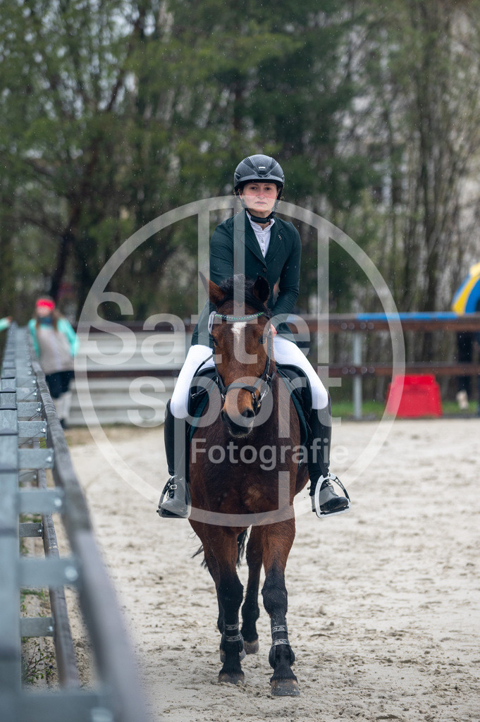 DSC_8394 | sattelsport - Realisiert mit Pictrs.com