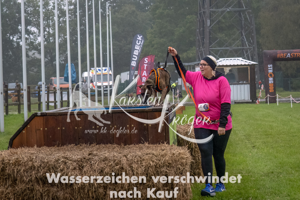 1254--2 | kk-dogfotos