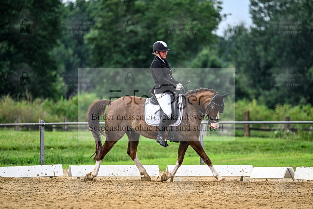 Reitturnier Hasbergen | Entdecke hochwertige Reitturnierfotos von Foto Oger. Professionell, emotional und authentisch – jetzt Lieblingsmomente im Shop bestellen. - Realisiert mit Pictrs.com