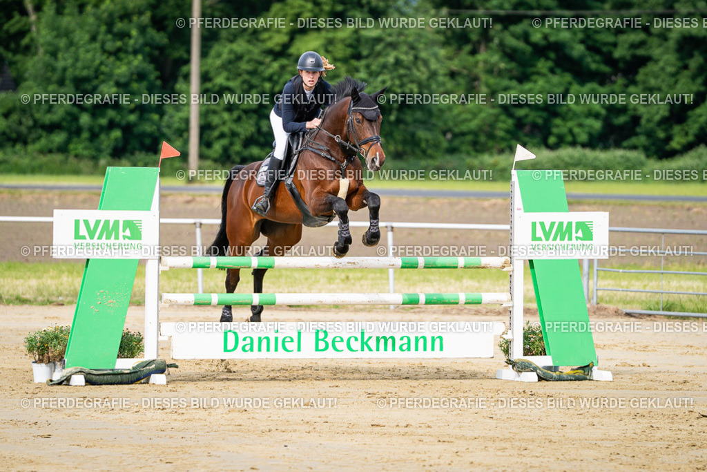 DSC03691 | Pferdegrafie