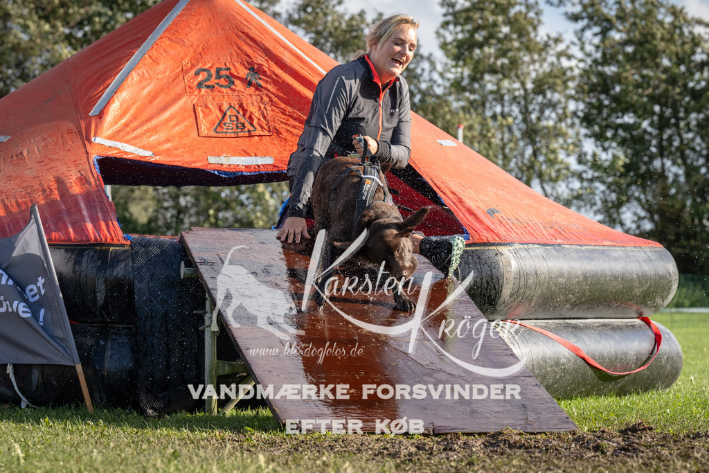 1437-94631 | kk-dogfotos