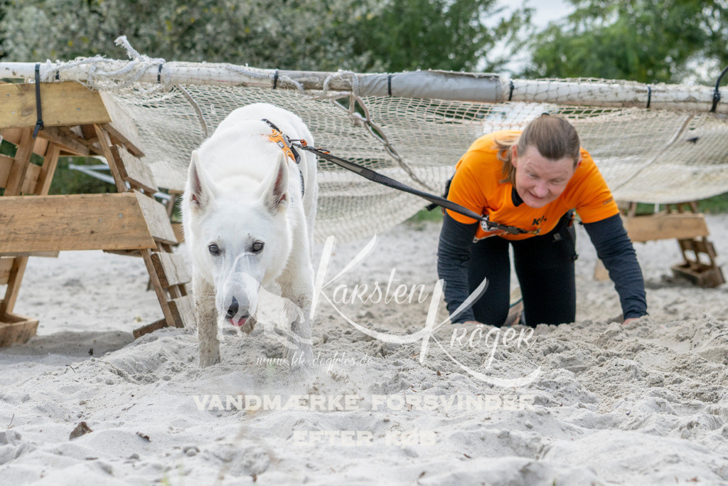 1227_ZZ91638 | kk-dogfotos