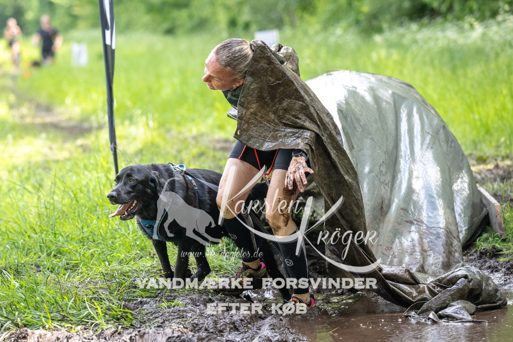 1237_ZZ92642 | kk-dogfotos