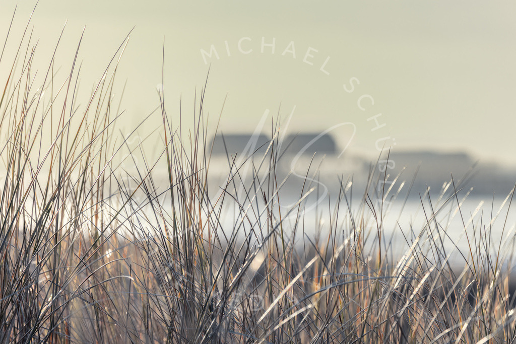 2024-01-27 SPO Duenen u Strand 015 | Schwotte Media - Realisiert mit Pictrs.com