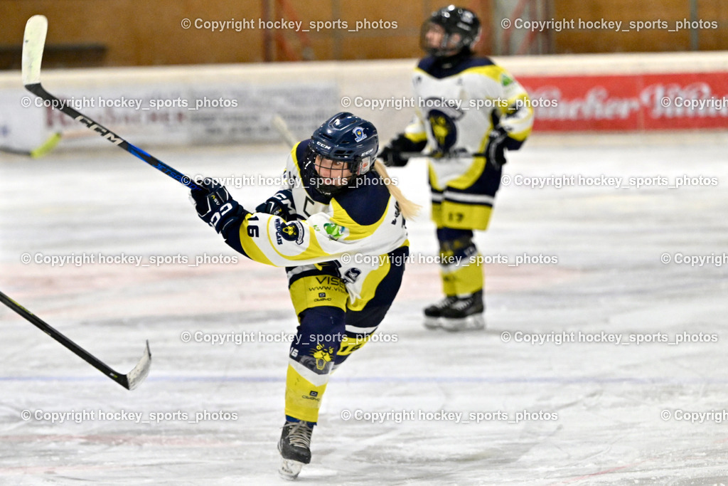 Wildcats Paternion vs. Lady Hawks  | #16 Anton Sandra WILDCATS PATERNION, Wildcats Paternion vs. Lady Hawks , Wildcats Paternion vs. Lady Hawks  am 27.01.2025 in Spittal an der Drau (Eissportzentrum Spittal), Austria, (Photo by Bernd Stefan)