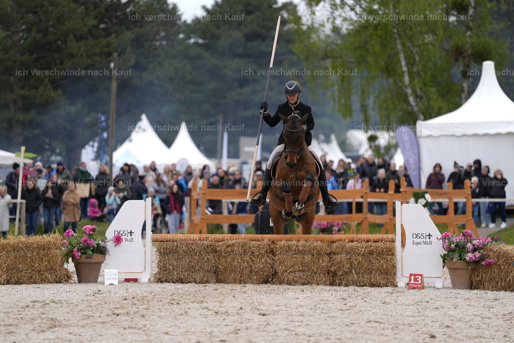 PI26_SP_Stoibphotography_DSC2210.JPG | working equitationturnier fotograf videograf stoibphotography marixx film working equitation deutschland reitsport turnierfotografie eventfotografie equestrian events