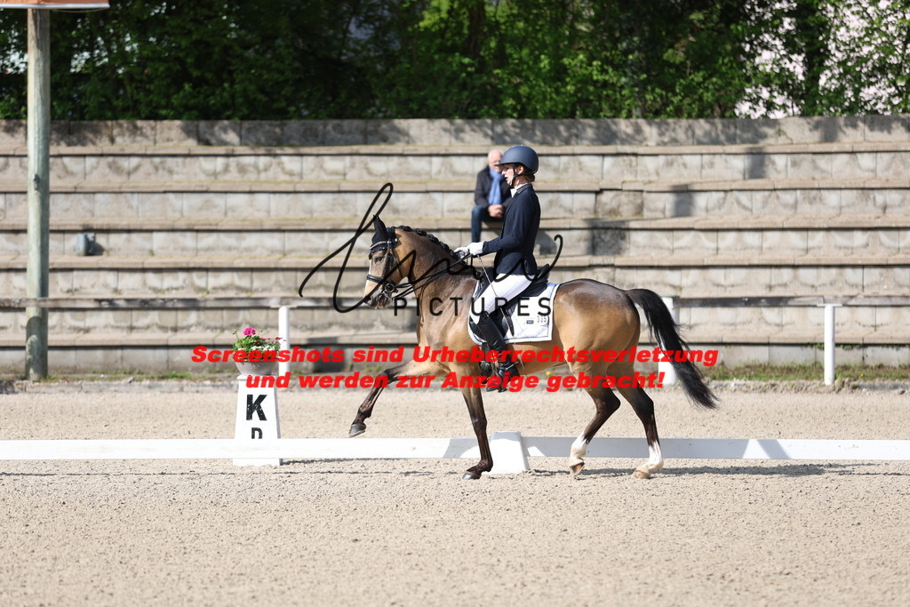 A40A3699 | lmwpictures - Realisiert mit Pictrs.com