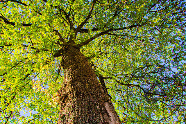1000316-30042026-184746 | Landschaftsfotos, Naturfotos, Fotos, Fotograf, Landschaftsfotograf, Naturfotograf, professioneller Fotograf