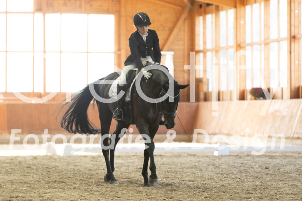 IMG_3521 | Creatify Fotografie