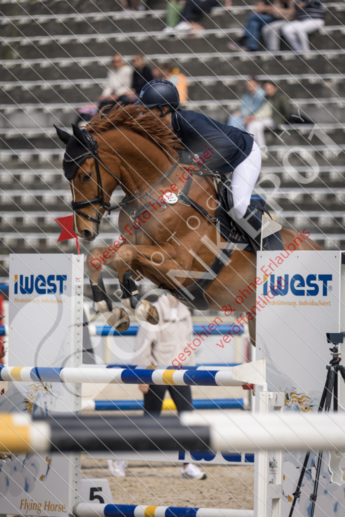 IMG_4745 | Sport-, Event- und Tierfotos in Profiqualität. Einfach auswählen, bestellen und herunterladen. Dein Moment – perfekt festgehalten.