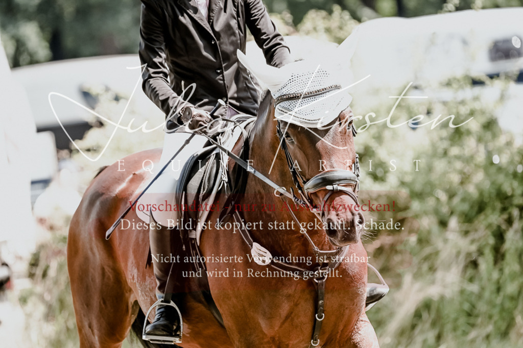DSC_9491 | Pferde- und Turnierfotografie in Westsachsen. Pferdeportraits, Auftragszeichnungen und intuitive Kunst.