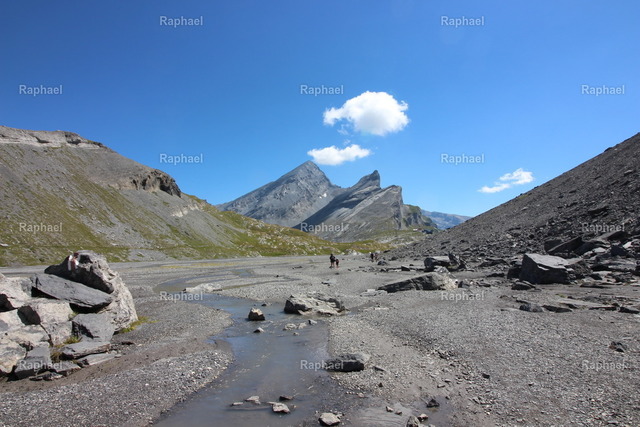 IMG_3379 | Raphael - Realisiert mit Pictrs.com