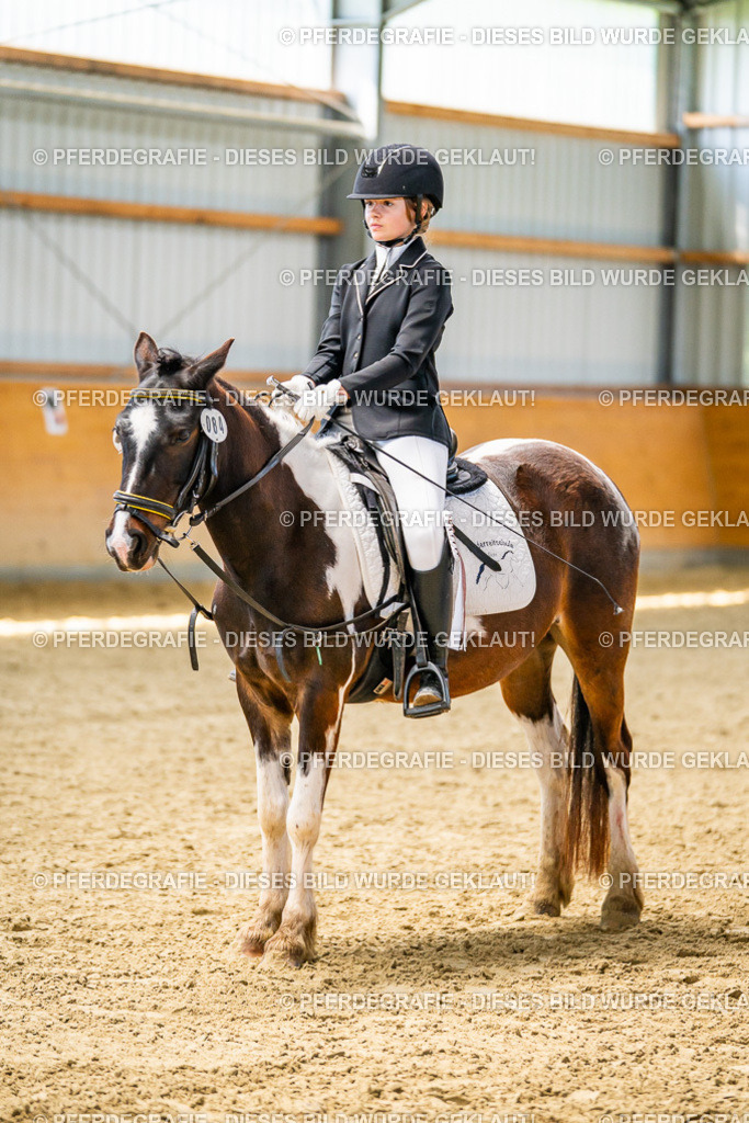 DSC03491 | Pferdegrafie