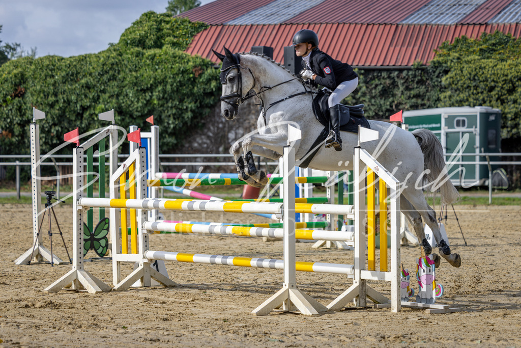 20260905-_3LI7205 | Tierfotografie Pferde, Hunde, Katzen, Haustiere.
Turnierfotografie Reitturniere, Reiten, Springreiten, Dressur in Hanau, dem Main-Kinzig-Kreis und dem Rhein-Main- Gebiet um Frankfurt