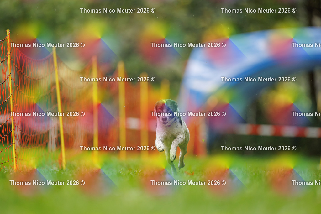 Thomas_Nico_Meuter(C)_13. September 2026_223A1228 | Bild von Thomas Nico Meuter - Realisiert mit Pictrs.com