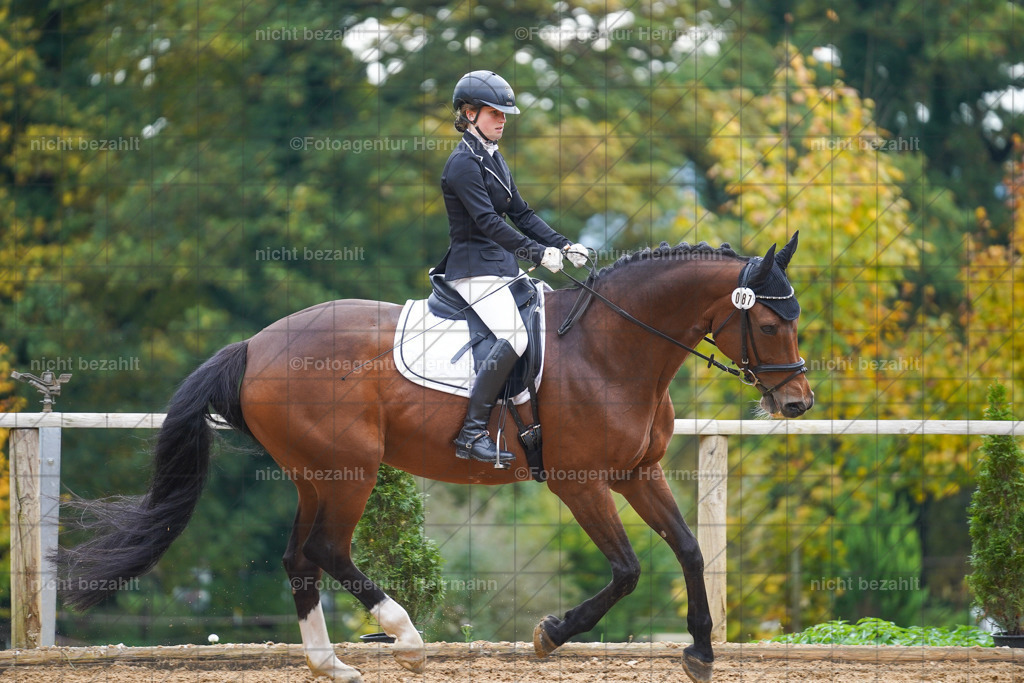20221008-FAH01117 | Diessen am Ammersee, 2022, Dressur- und Springturnier, Reitsportbilder, Turnierfotografen Bayern, Pferdefotografen, Fotoagentur Herrmann, Turnierbilder