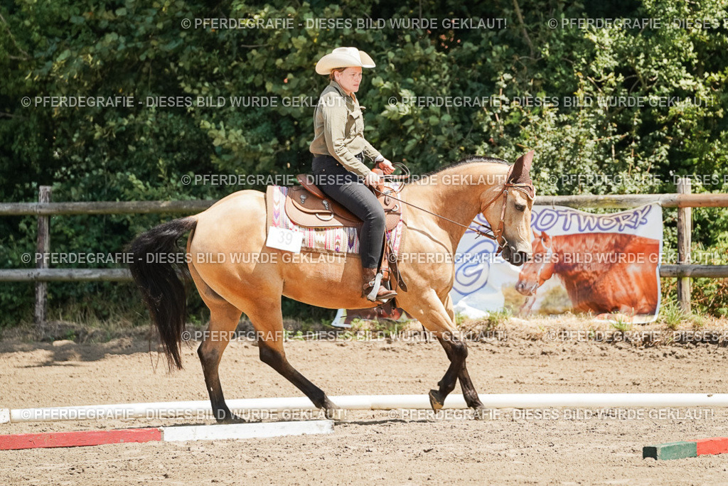 DSC06663 | Pferdegrafie