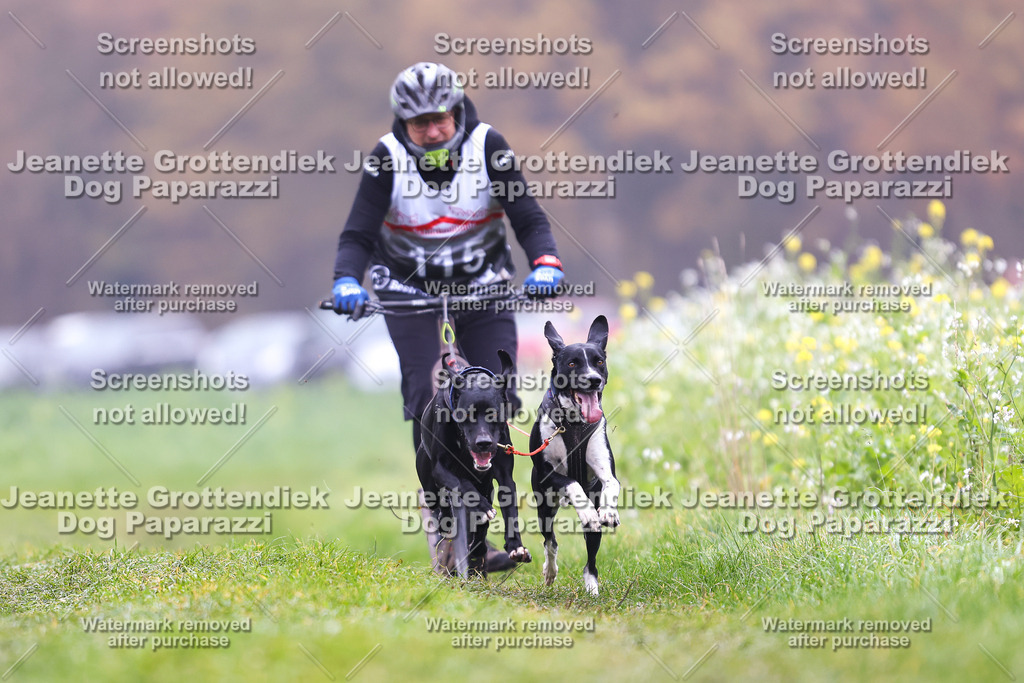 Dog Paparazzi - Visbeck 25 -101 | Dog Paparazzi Jeanette Grottendiek Fotografie & Videografie - Realisiert mit Pictrs.com