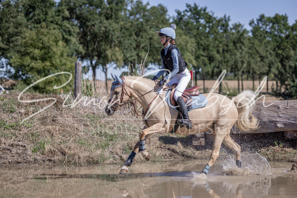 20260906-_3LI3695 | Tierfotografie Pferde, Hunde, Katzen, Haustiere.
Turnierfotografie Reitturniere, Reiten, Springreiten, Dressur in Hanau, dem Main-Kinzig-Kreis und dem Rhein-Main- Gebiet um Frankfurt