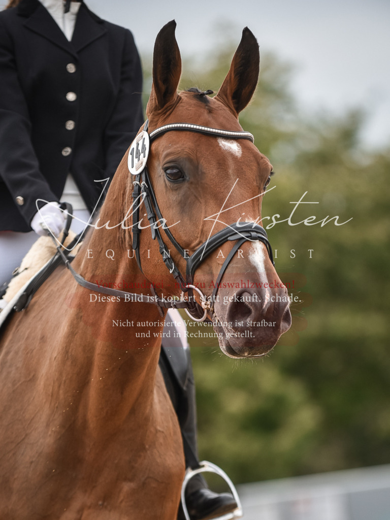 DSC_7996 | Pferde- und Turnierfotografie in Westsachsen. Pferdeportraits, Auftragszeichnungen und intuitive Kunst.