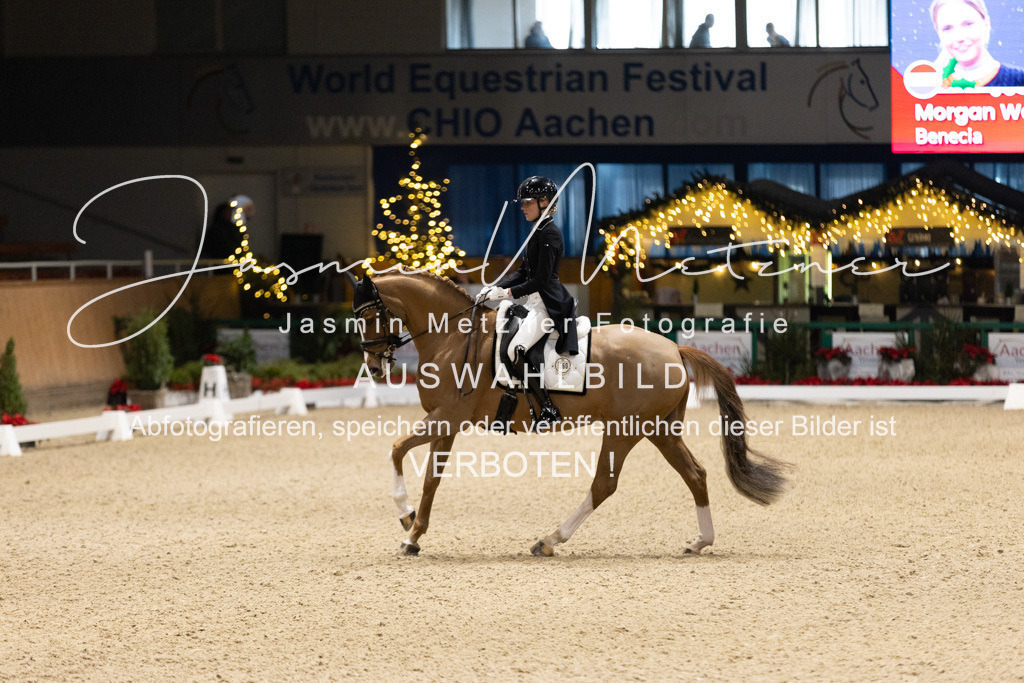 126A6233 | jasminmetznerfotografie