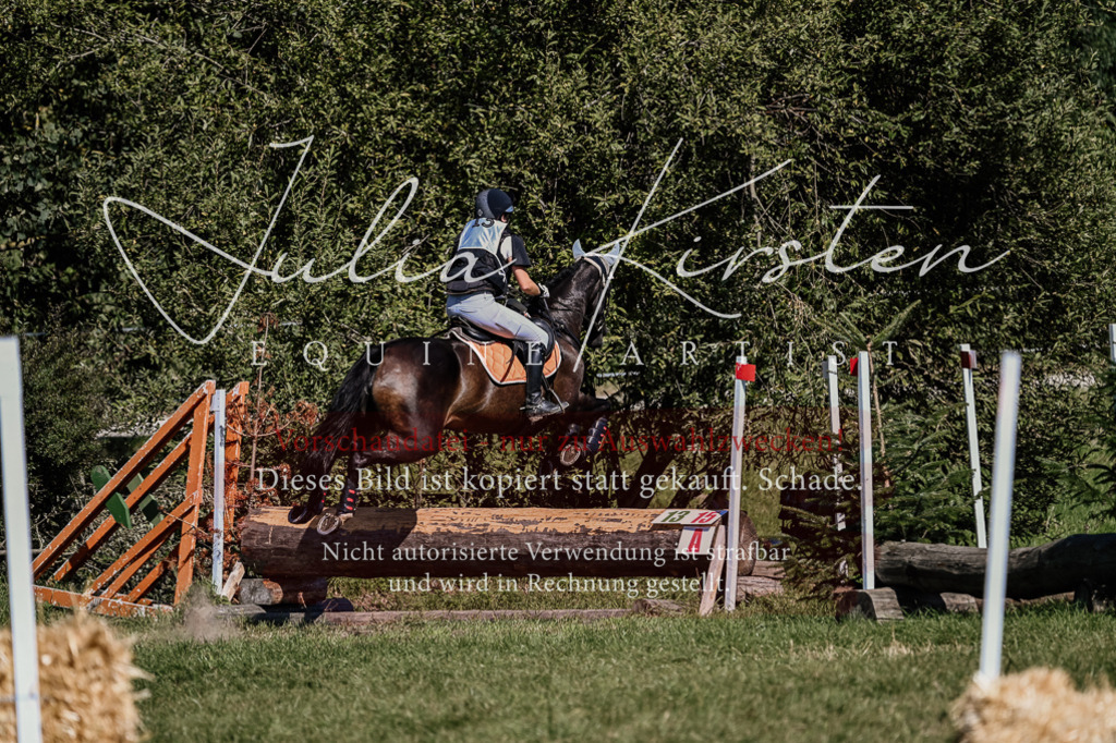 DSC_1802 | Pferde- und Turnierfotografie in Westsachsen. Pferdeportraits, Auftragszeichnungen und intuitive Kunst.