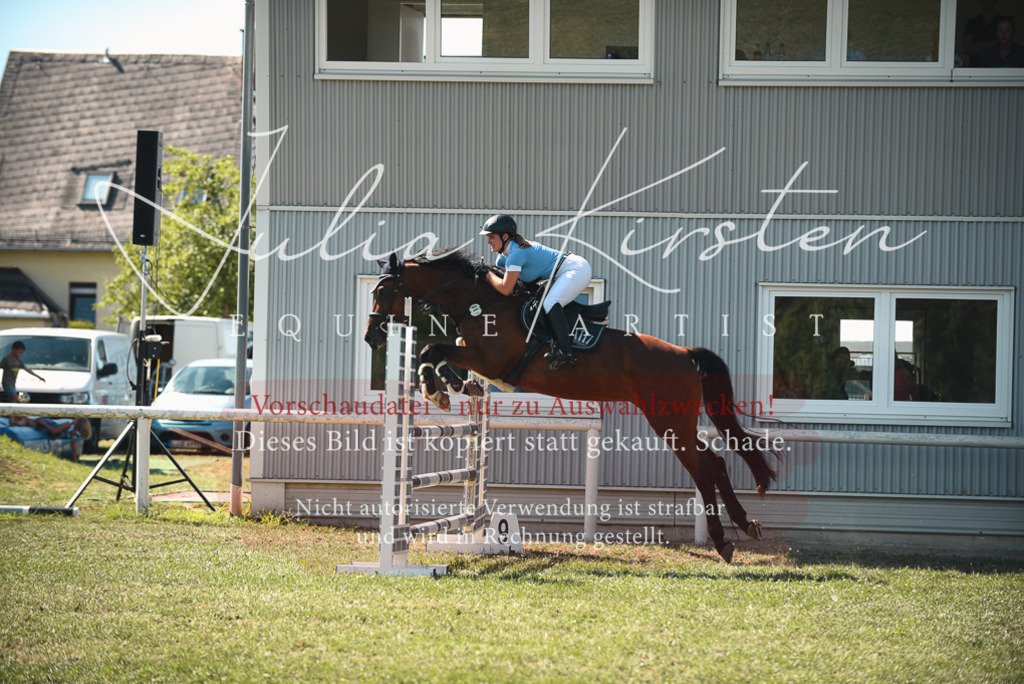 DSC_7162 | Pferde- und Turnierfotografie in Westsachsen. Pferdeportraits, Auftragszeichnungen und intuitive Kunst.