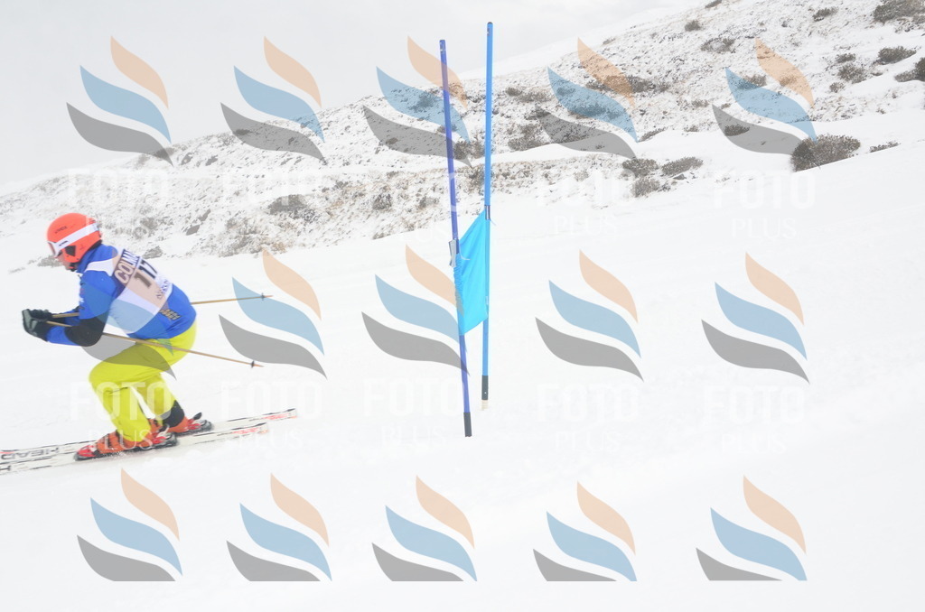 A5996 | holidayphoto